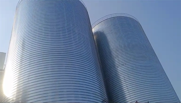 齐齐哈尔2座混凝土高架卷板仓